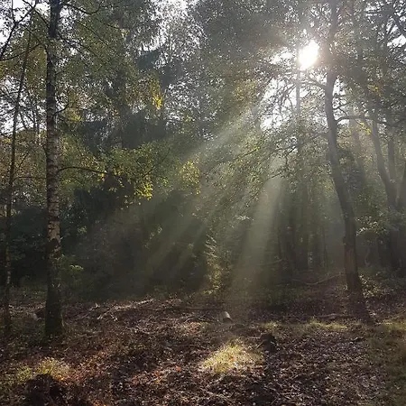Frühstückspension De Loenense Bossen