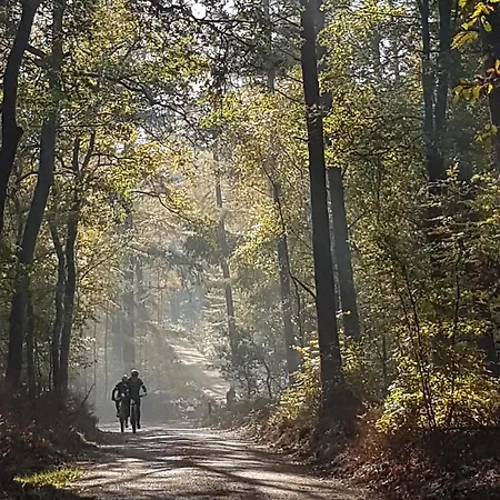 De Loenense Bossen Frühstückspension
