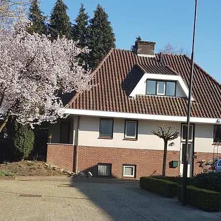 De Loenense Bossen * Loenen