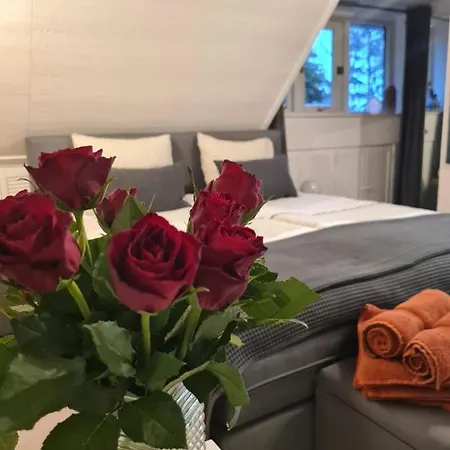 Bed & Breakfast De Loenense Bossen 3*