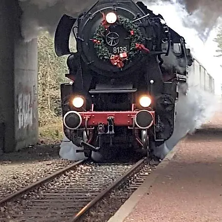 De Loenense Bossen