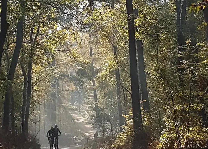 De Loenense Bossen Bed & Breakfast