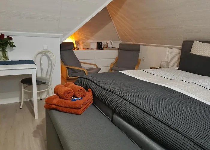 De Loenense Bossen Loenen