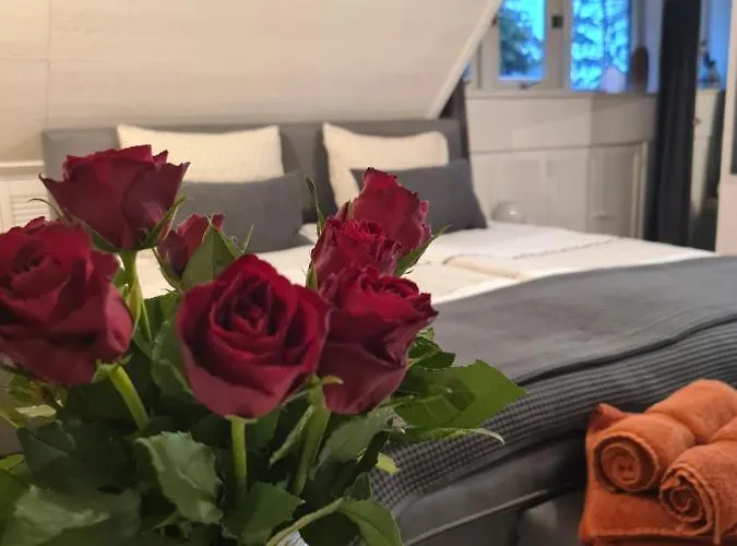 Bed & Breakfast De Loenense Bossen 3*