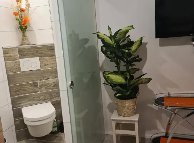 De Loenense Bossen Bed & Breakfast