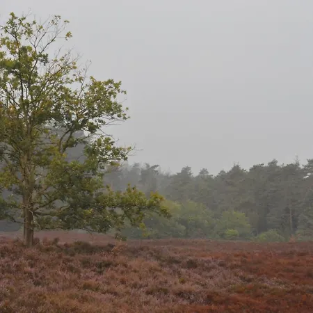 De Loenense Bossen Panzió