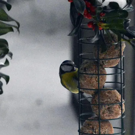 ベッド・アンド・ブレックファスト De Loenense Bossen ルーネン