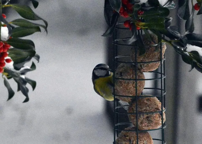 ベッド・アンド・ブレックファスト De Loenense Bossen ルーネン