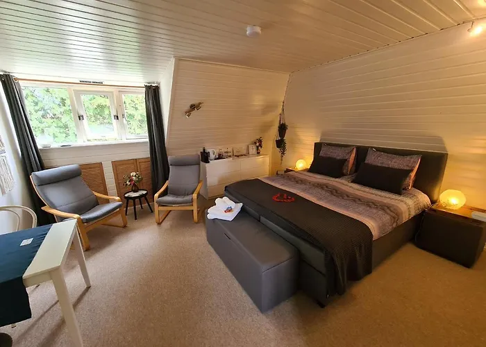 De Loenense Bossen 3* ルーネン